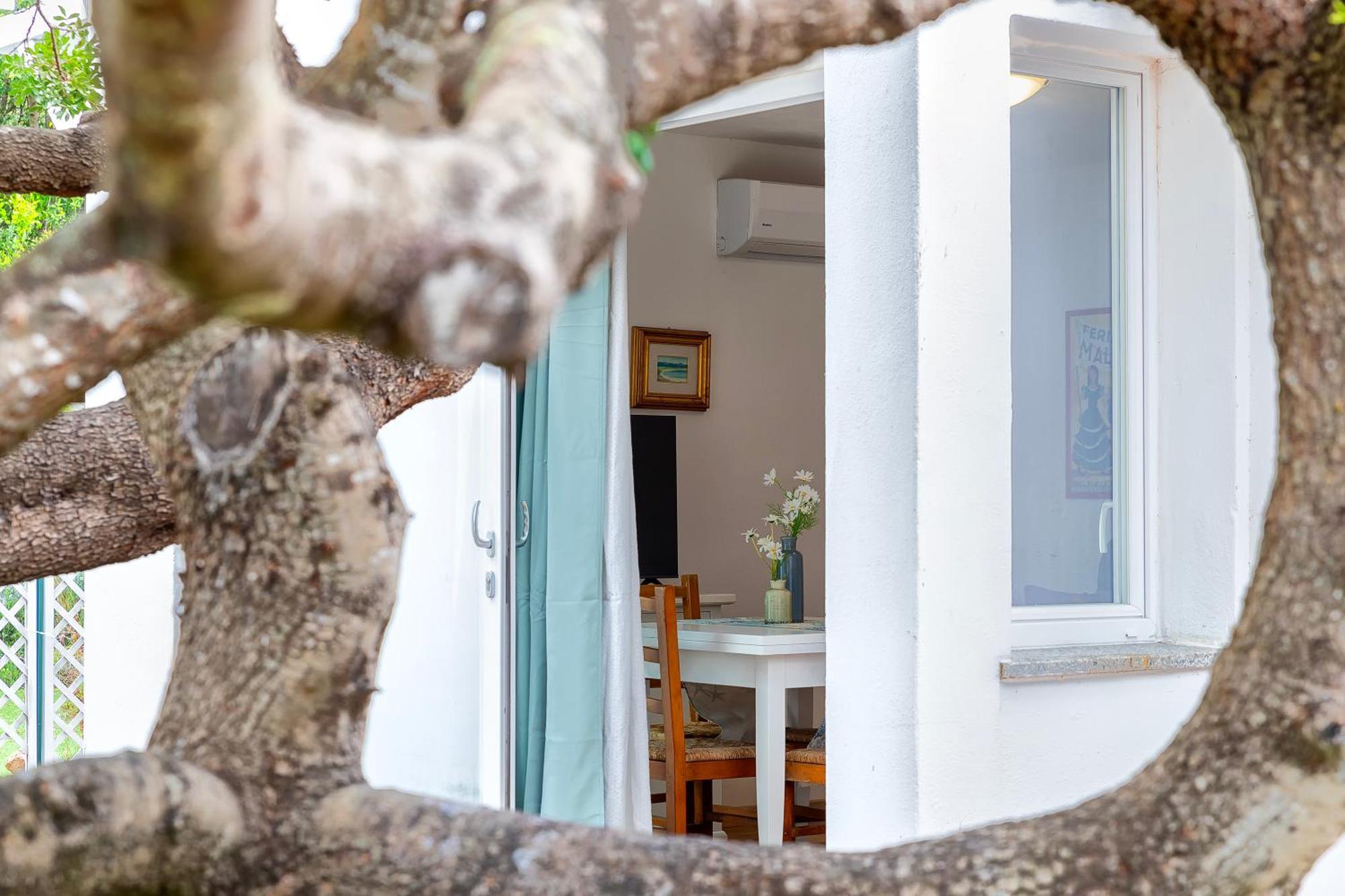Casa Sergio * Olbia
